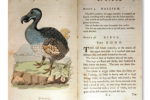 The Extraordinary Natural History Books of Samuel Galton Jnr The Extraordinary Natural History Books of Samuel Galton Jnr