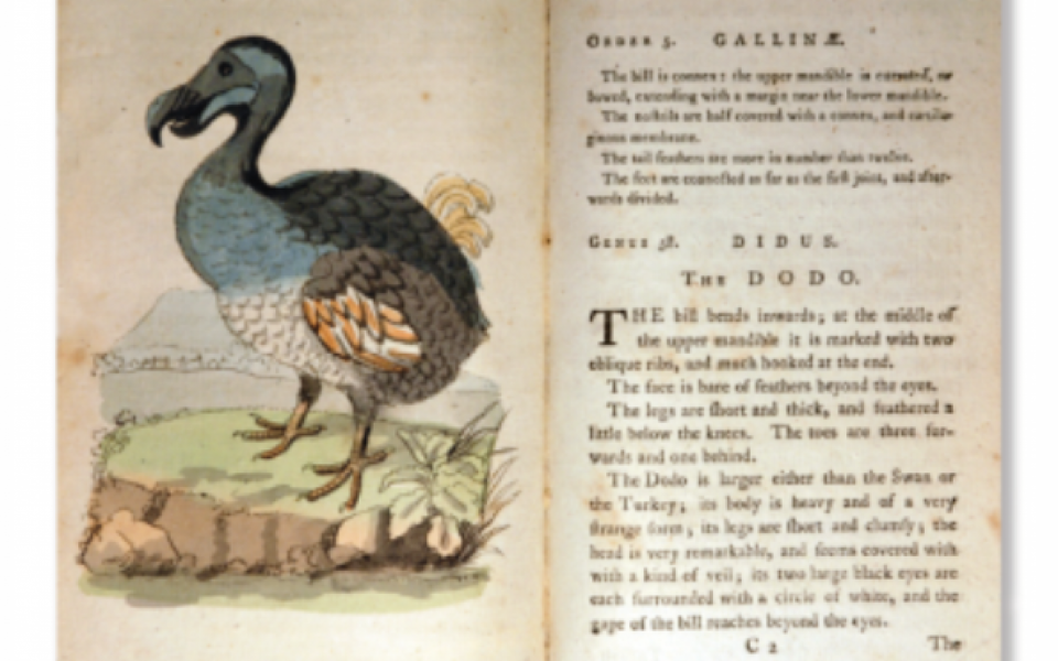 The Extraordinary Natural History Books of Samuel Galton Jnr